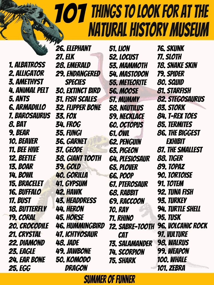 101 Things To Look For At The Natural History Museum Free Printable 
