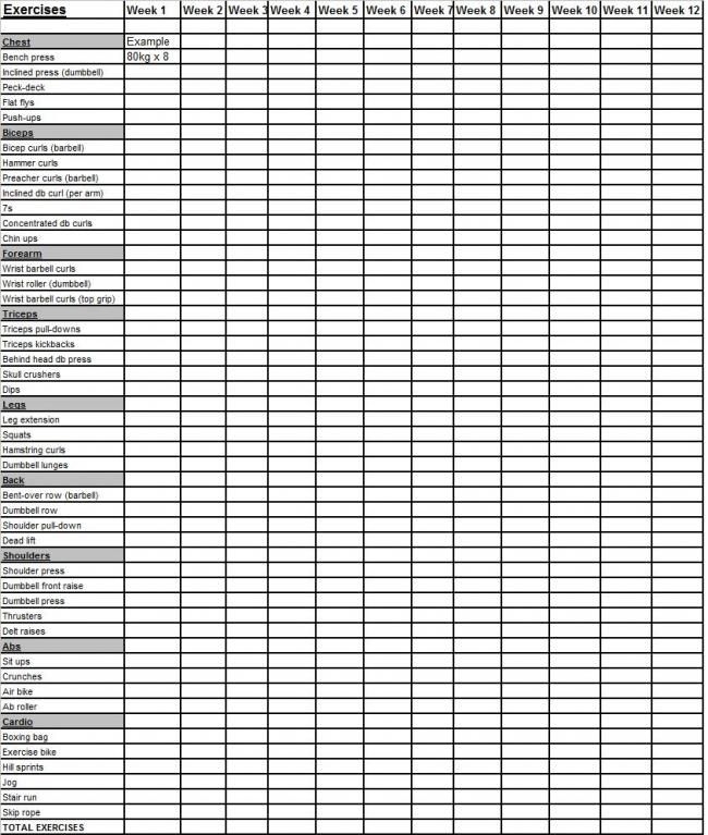 12 Week Plan Template Web 12 Week Plan C Cheyenne Wilder 1 Template 