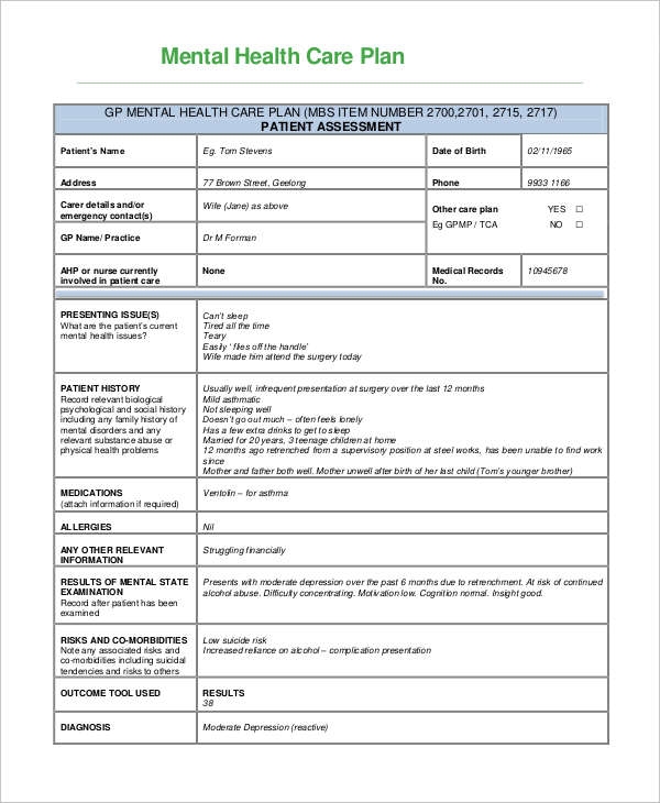 15 Care Plan Templates PDF Google Docs MS Word Pages Samples 