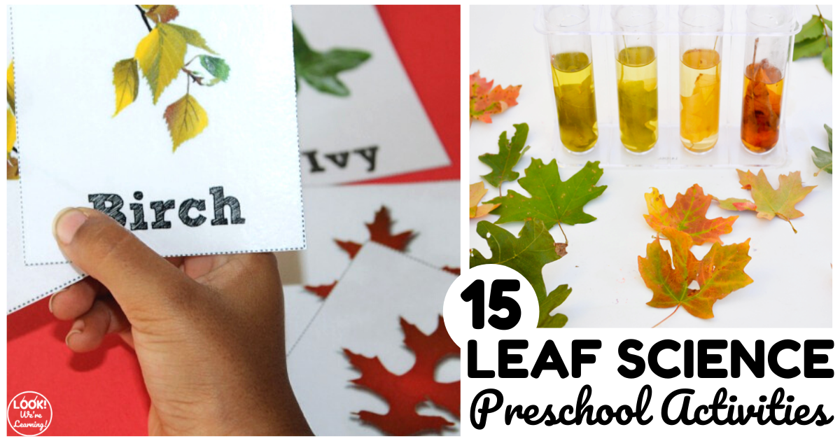 printable science activities for preschoolers