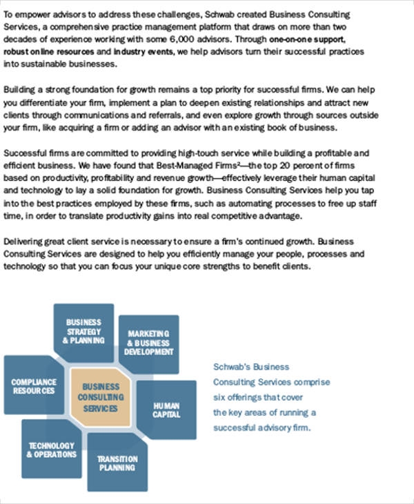 18 Consulting Business Plan Templates Free Word PDF Format Download