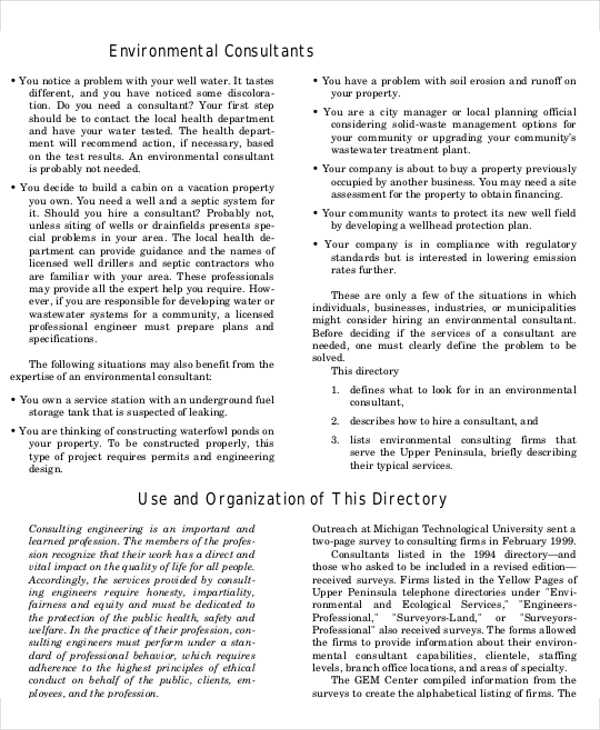 18 Consulting Business Plan Templates Free Word PDF Format Download