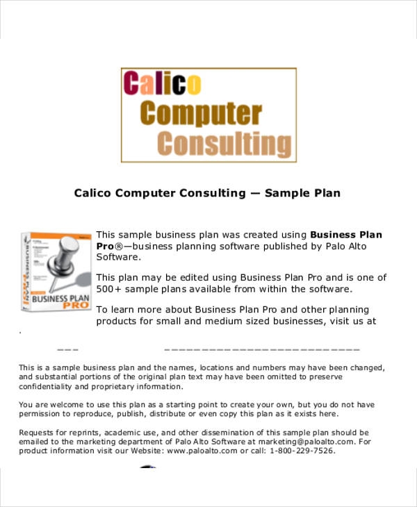management consulting business plan template