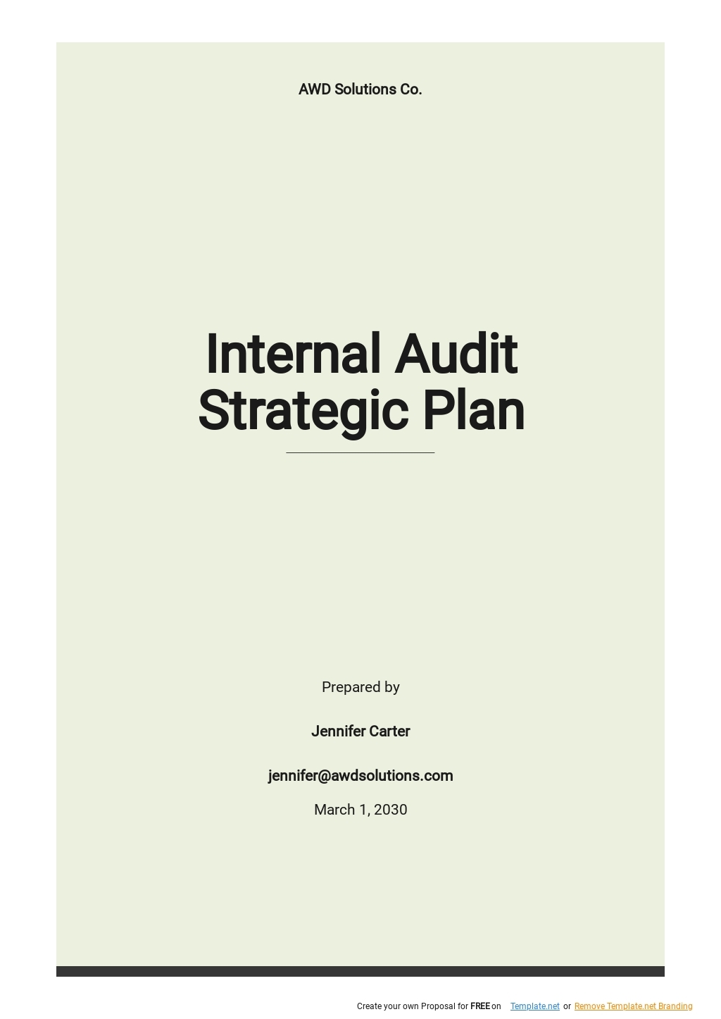 audit plan template