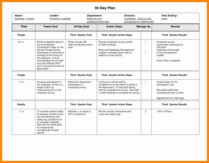 20 90 Day Work Plan Template