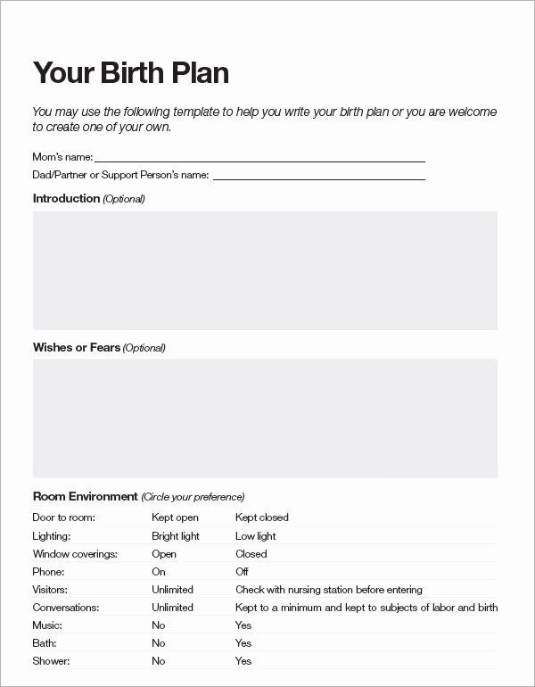 20 Birth Plan Template Pdf