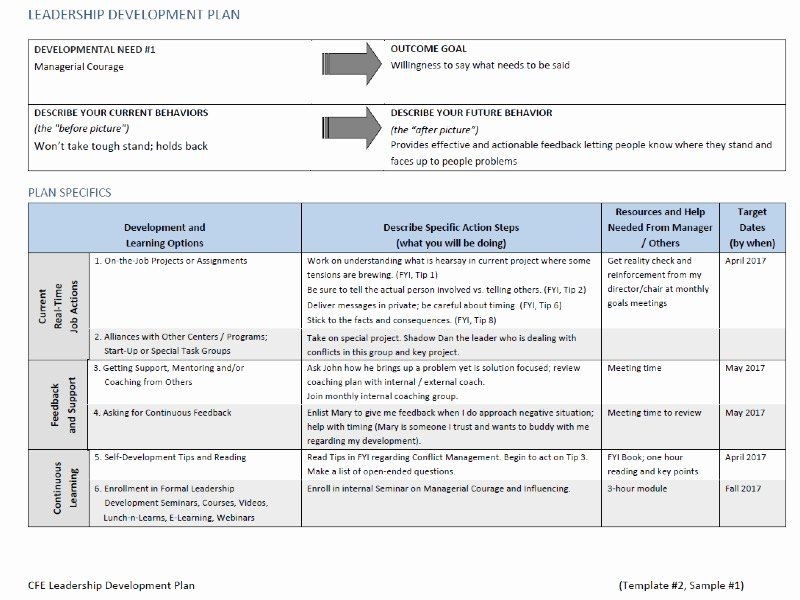 20 Leadership Development Plan Template Simple Template Design