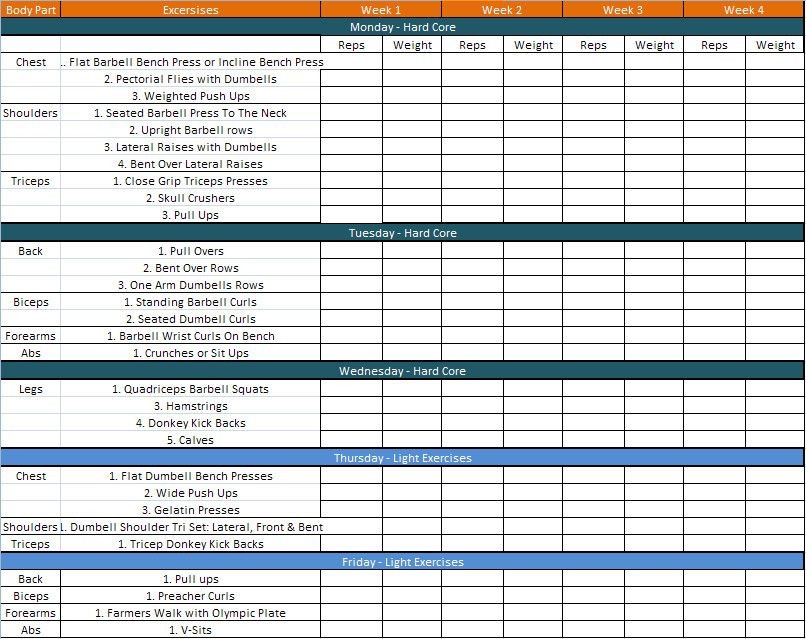 20 Personal Trainer Workout Plan Template Simple Template Design