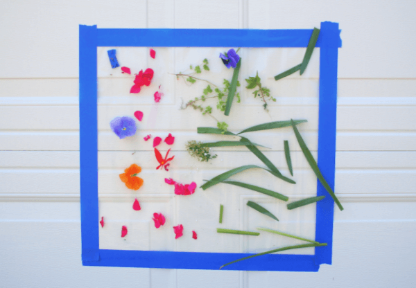20 Super Simple Nature Activities For Toddlers