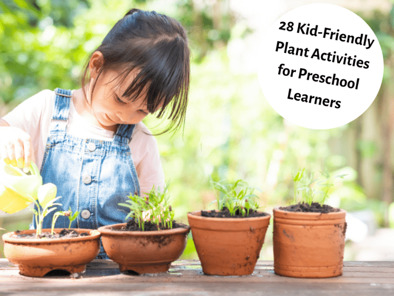 28 Kid Friendly Plant Activities For Preschool Learners Teaching 