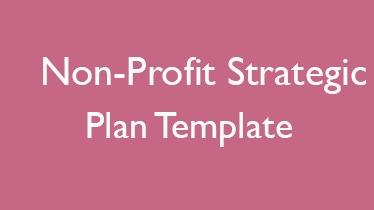 4 Sample Non Profit Strategic Plan Templates Word PDF