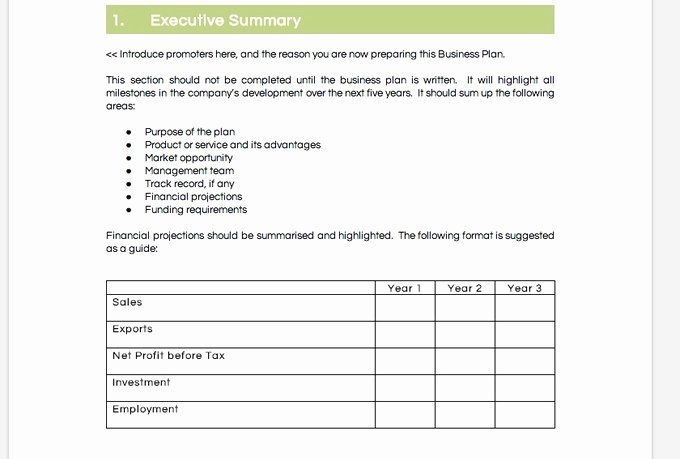 40 Google Doc Business Plan Template Hamiltonplastering Free 