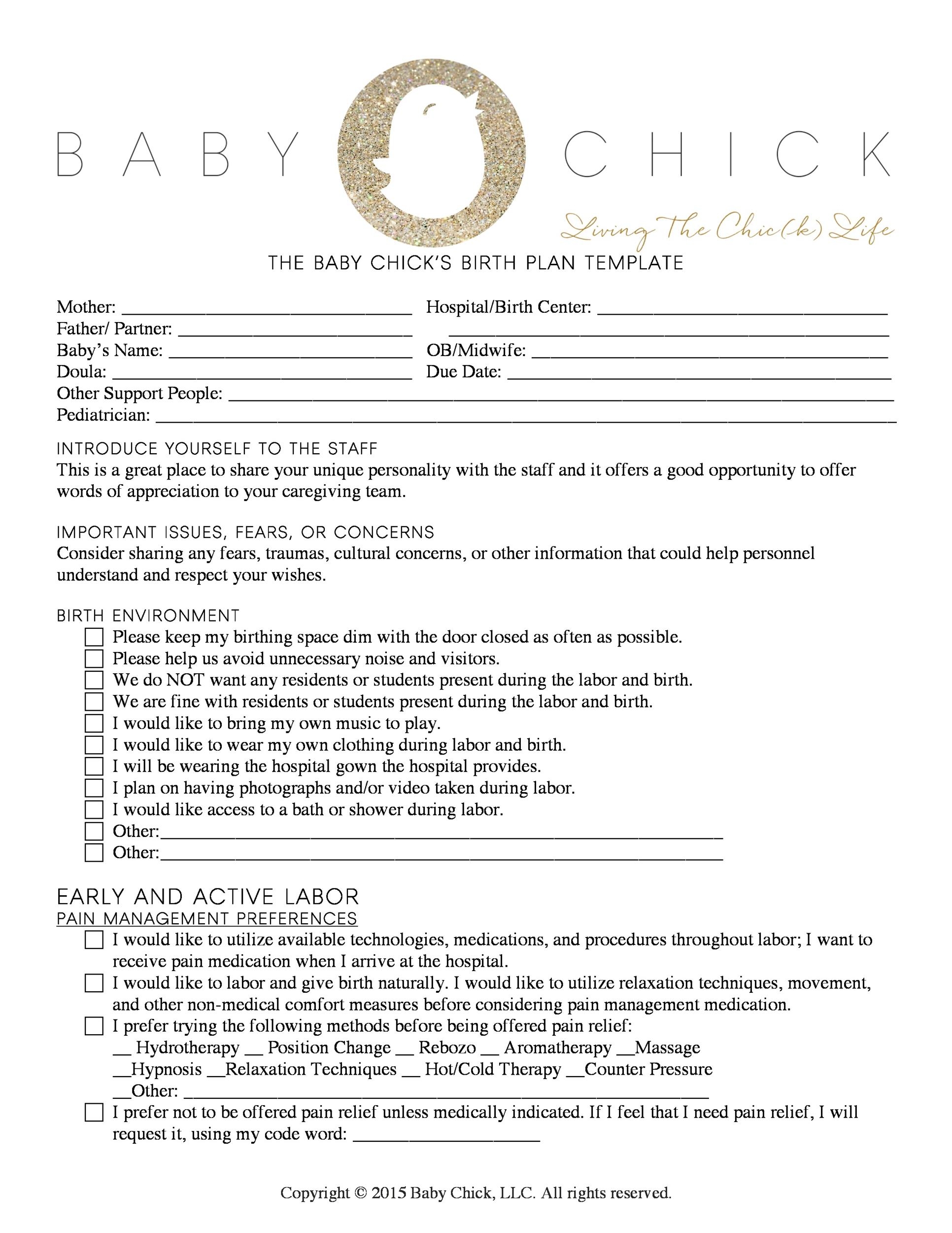 birth plan free template