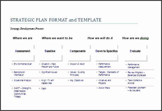 5 Non Profit Strategic Plan Template SampleTemplatess SampleTemplatess