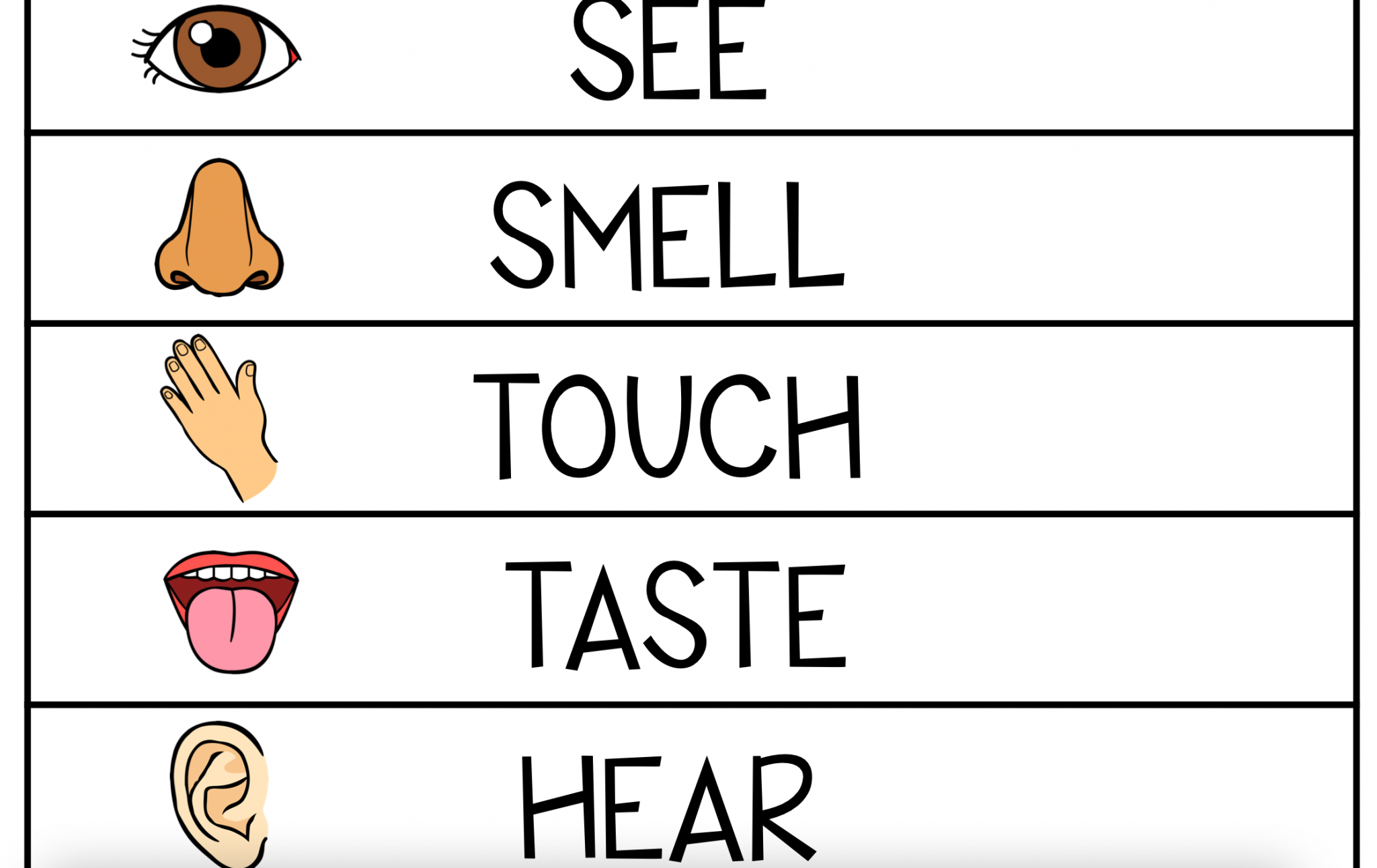 five senses activities for preschool printables