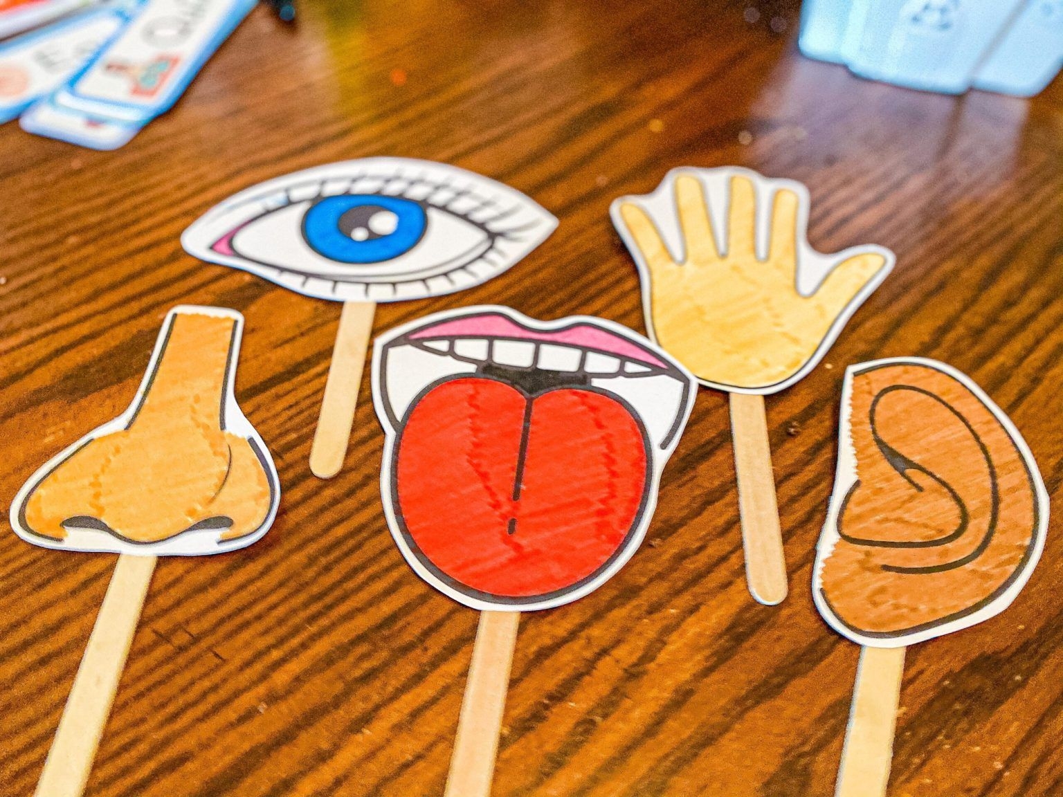 5 Senses Preschool Ideas Free Worksheets Printable