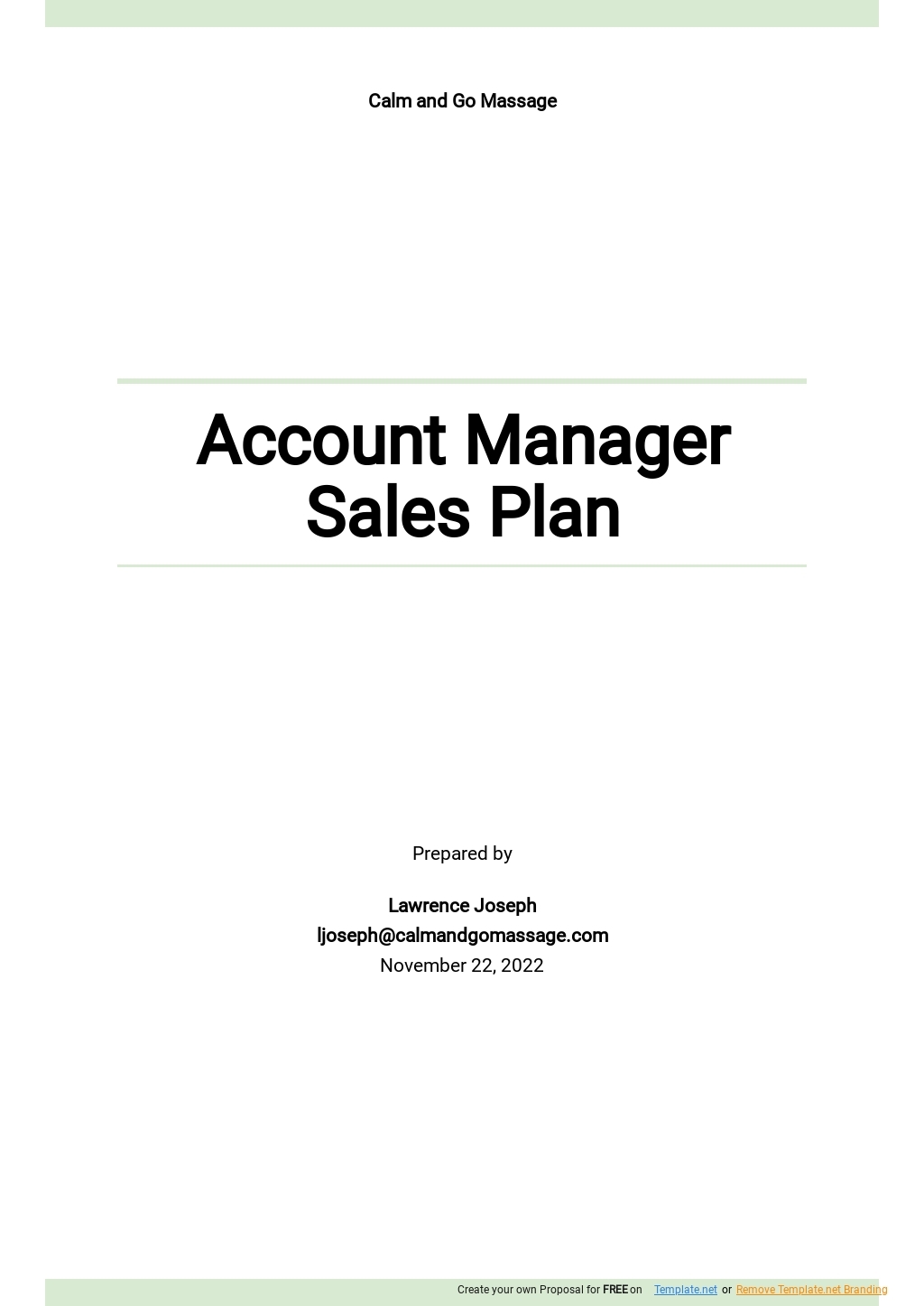 Account Executive Sales Plan Template Google Docs Word Apple Pages 