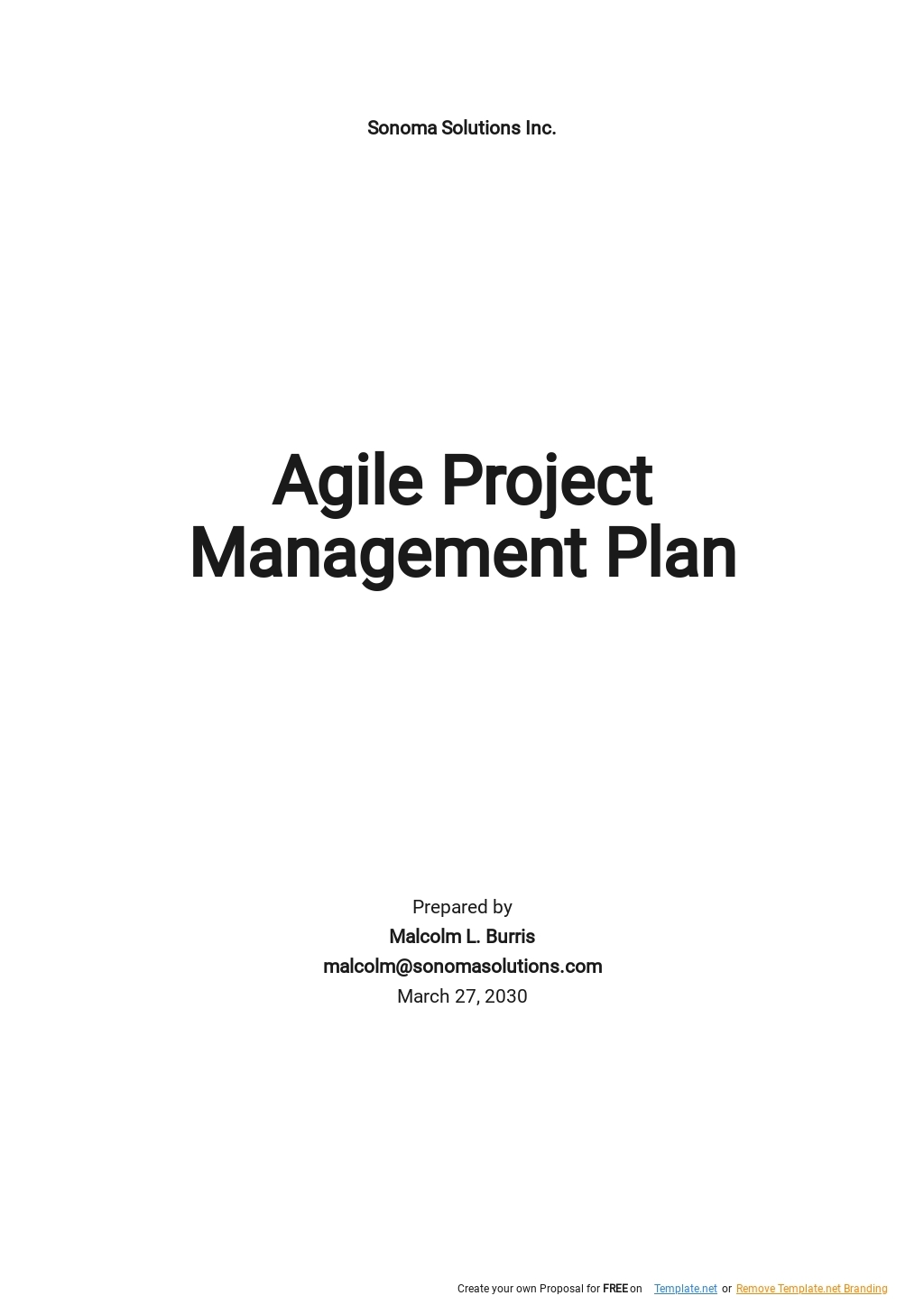 Agile Project Management Plan Template Google Docs Word Apple Pages 