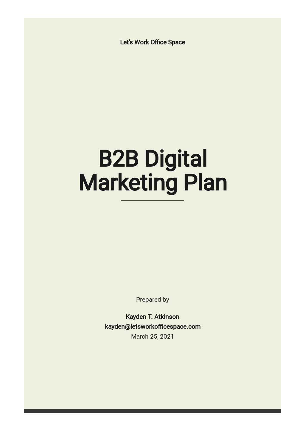 B2B Digital Marketing Plan Template Google Docs Word Apple Pages 