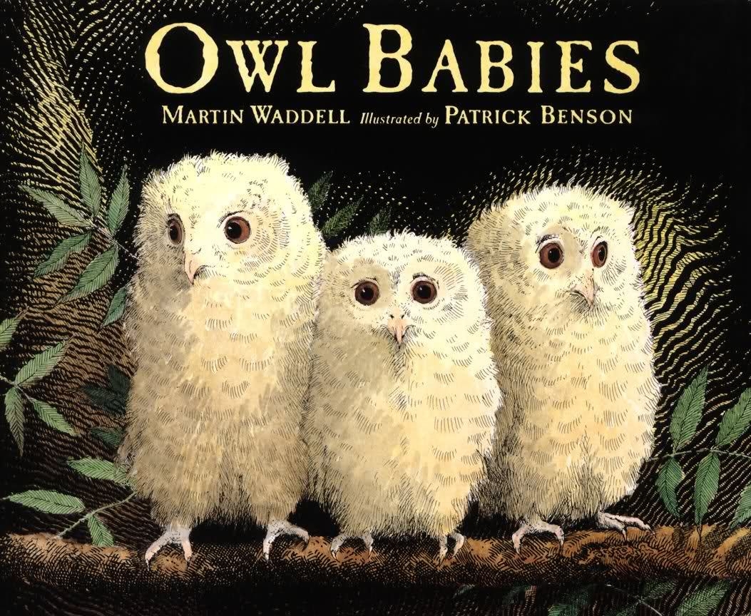owl babies printable activities