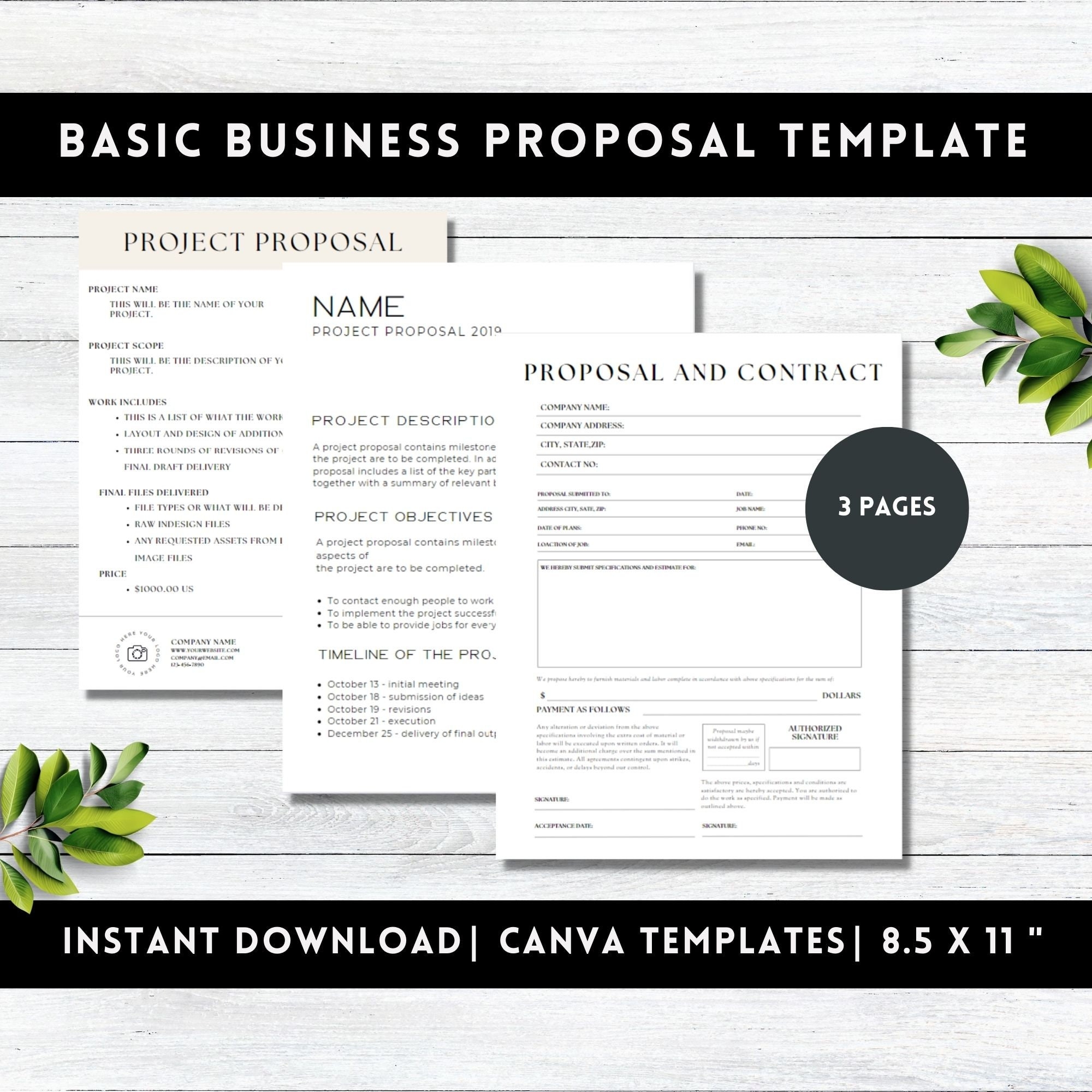 Basic Project Plan Template Basic Project Proposal Template Simple 
