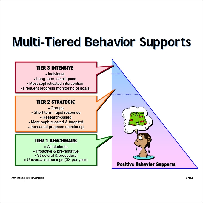 behavior support plan template