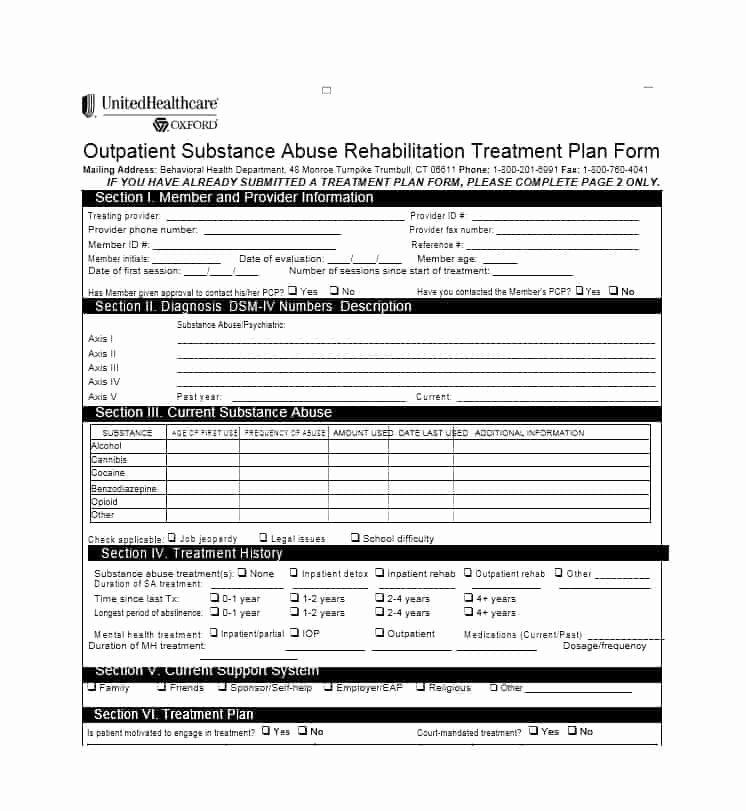 Behavioral Health Treatment Plan Template Shooters Journal