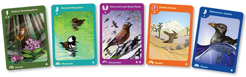 Birds Of A Feather Card Game Review Set Collection Game Board Game 