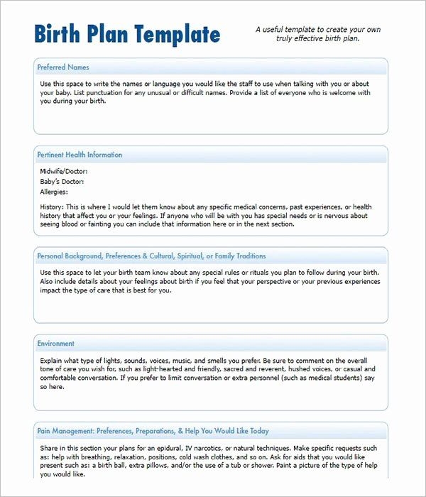Birth Plan Template Pdf Awesome 50 Free Birth Plan Templates Word Pdf 
