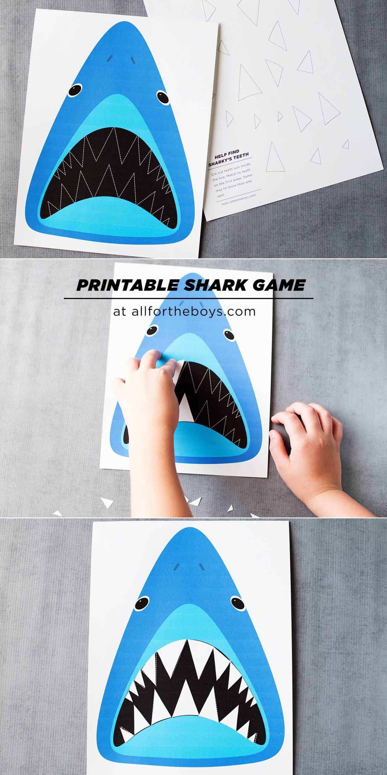 printable shark pictures