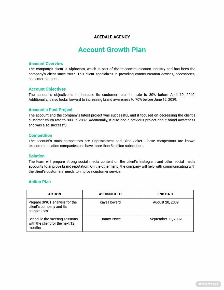 Business Growth Plan Template Google Docs Word Apple Pages 