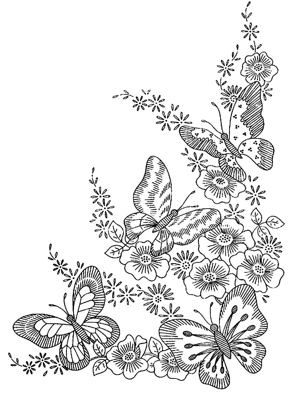 free printable pictures of butterflies to color