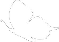 Butterfly Cut Out Printable Stencil Designs The Pattern Is Only Half 