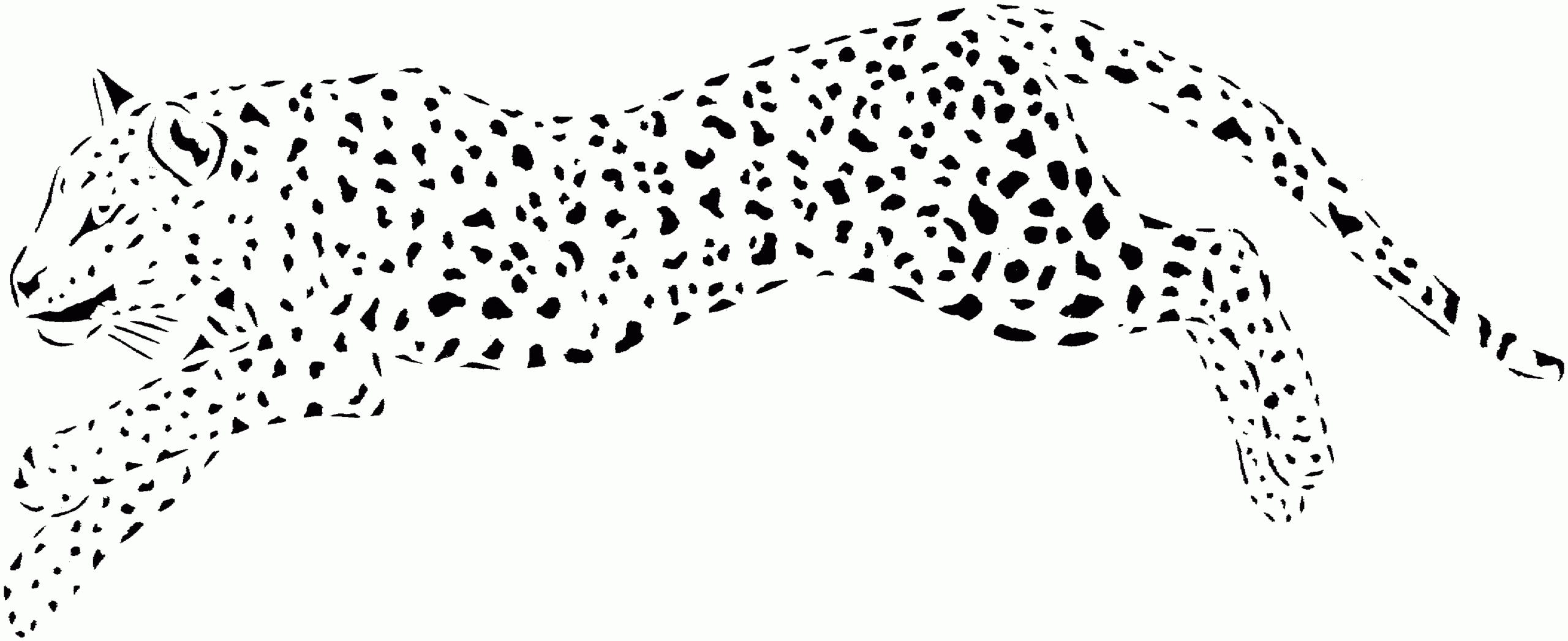 Cheetah Printable Coloring Pages Coloring Home