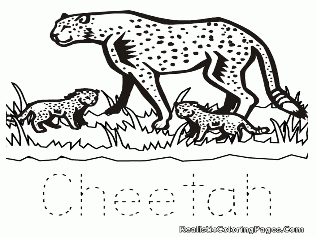 Cheetah Printable Coloring Pages Coloring Home