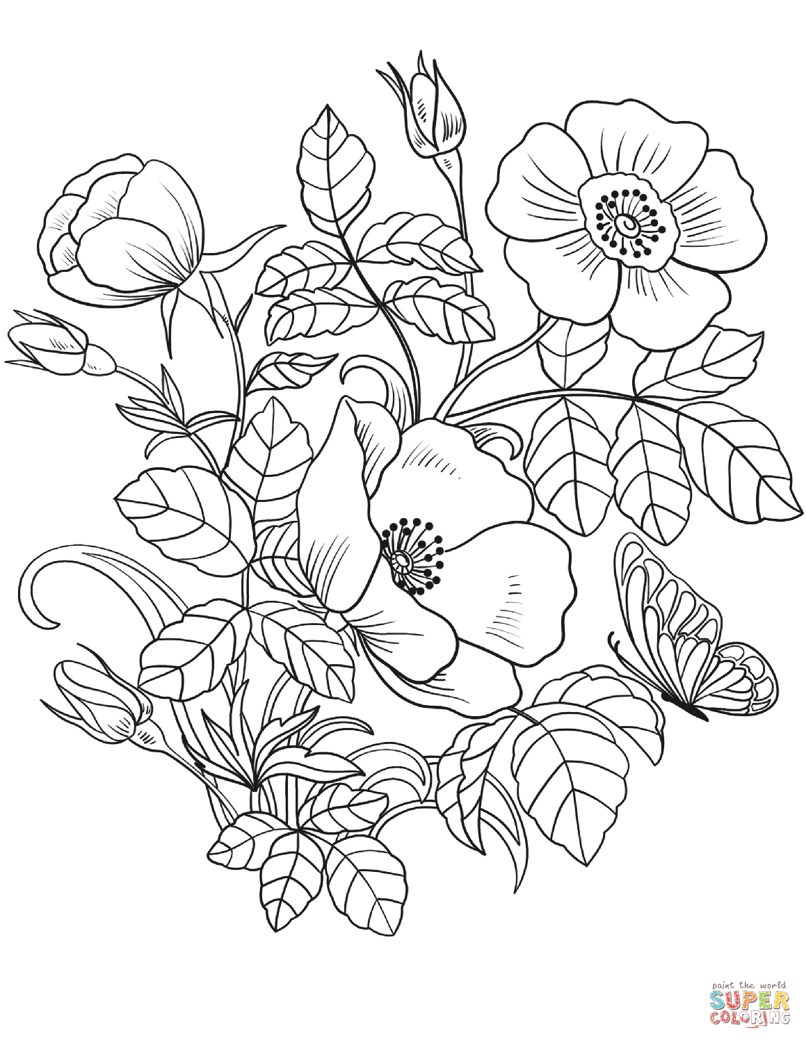 coloring pictures of flowers printable
