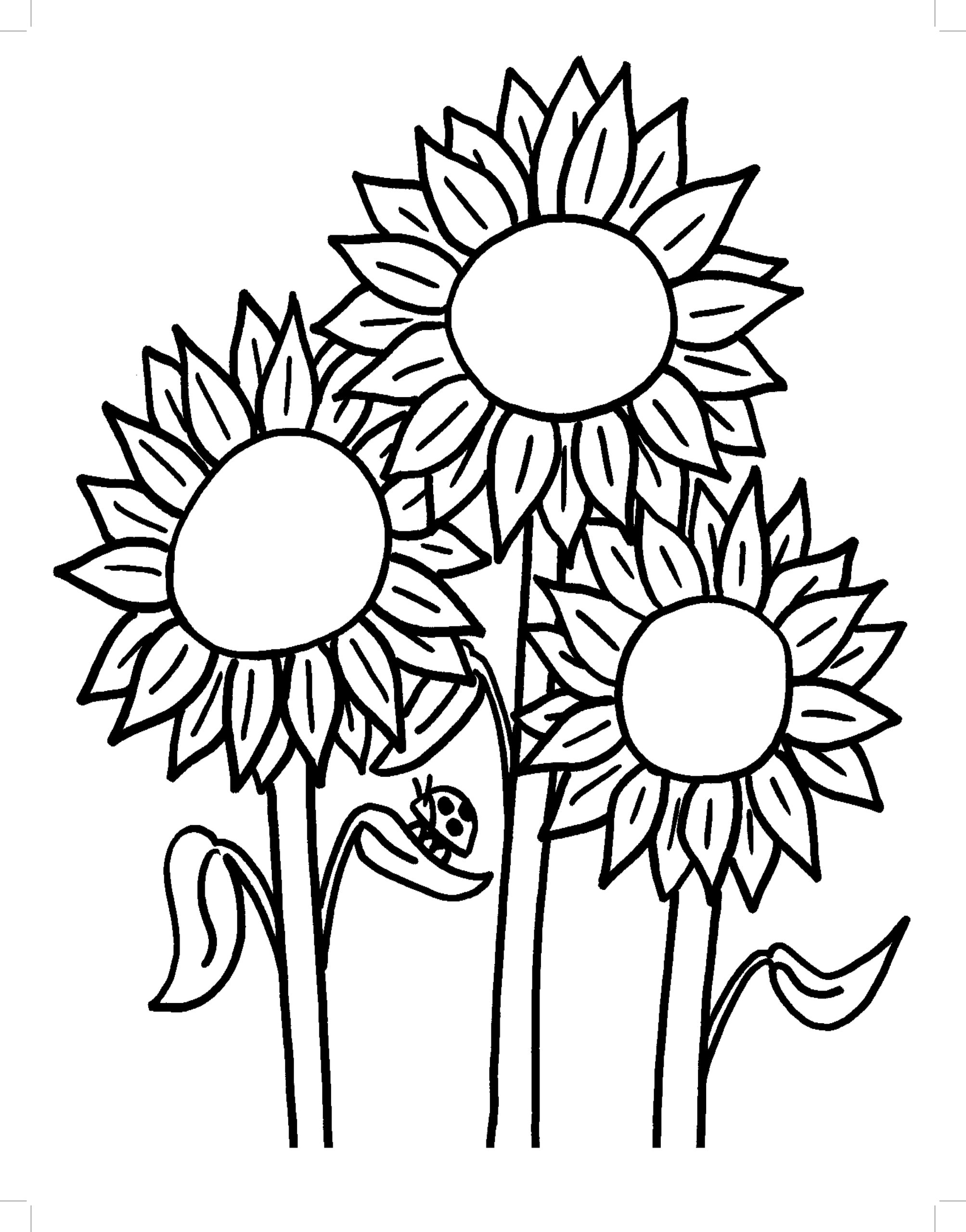 Coloring Pages Of Sunflowers Printable
