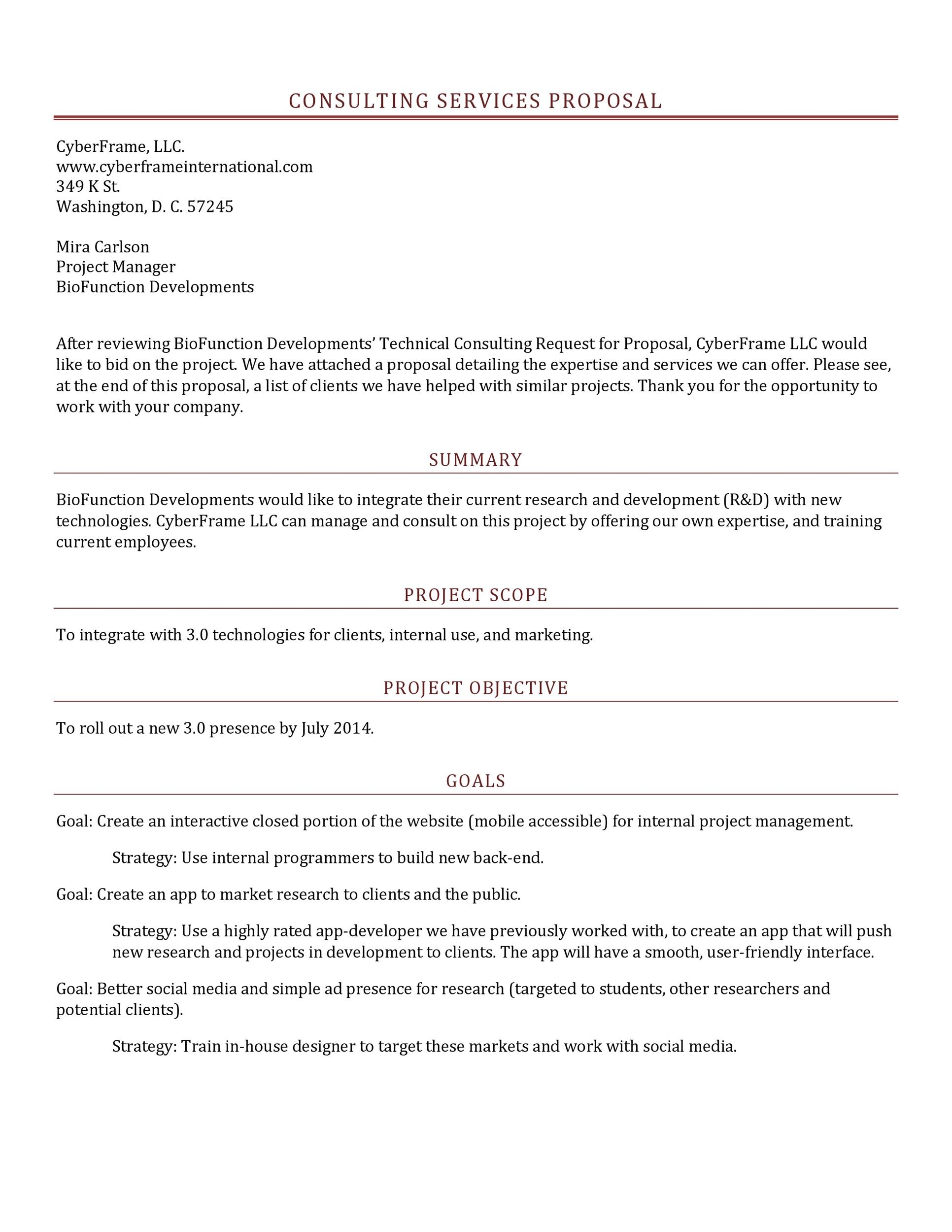 business plan template consulting services