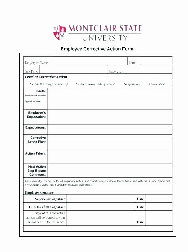Corrective Action Plan Template Word Best Of Corrective Action Plan 