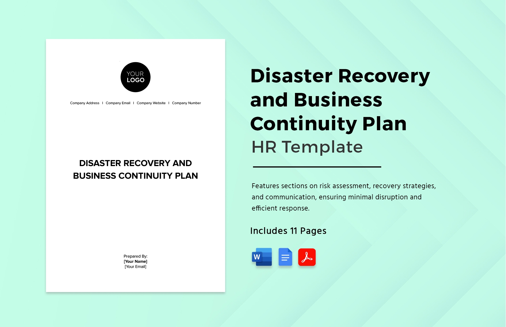 Disaster Recovery And Business Continuity Plan HR Template In Word PDF
