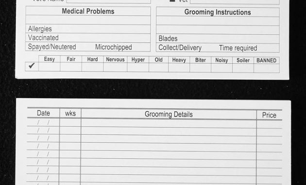 Dog Grooming Client Record Card Template Jeppan With Dog Grooming