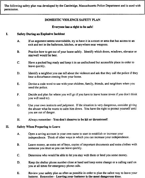Domestic Violence Safety Plan Template Best Template Ideas