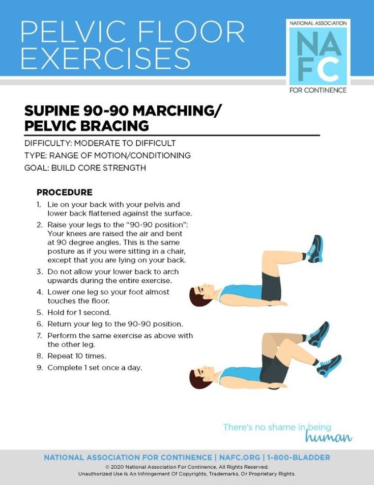 Downloadable Exercises For Your Pelvic Floor National Association For