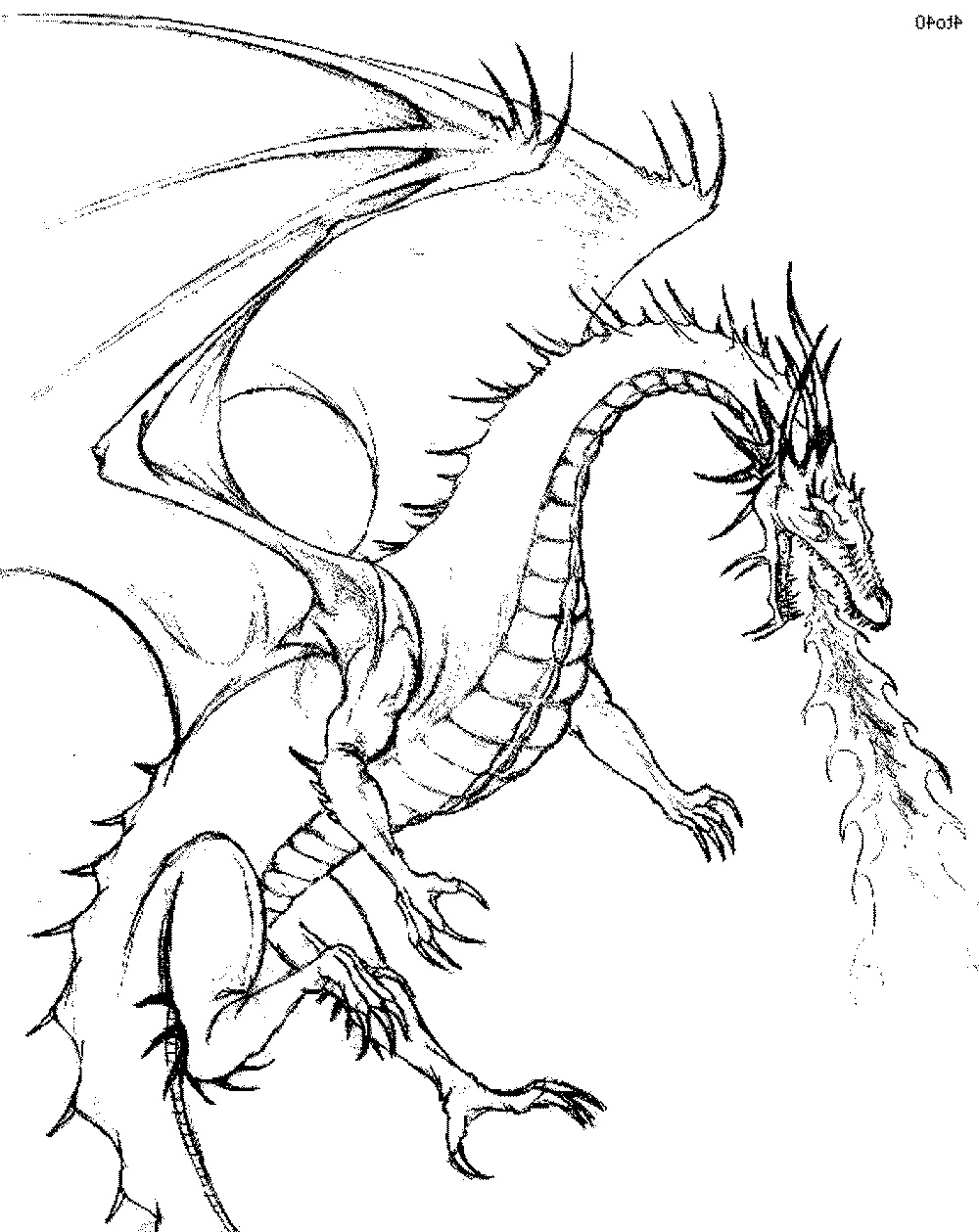 printable coloring pictures of dragons