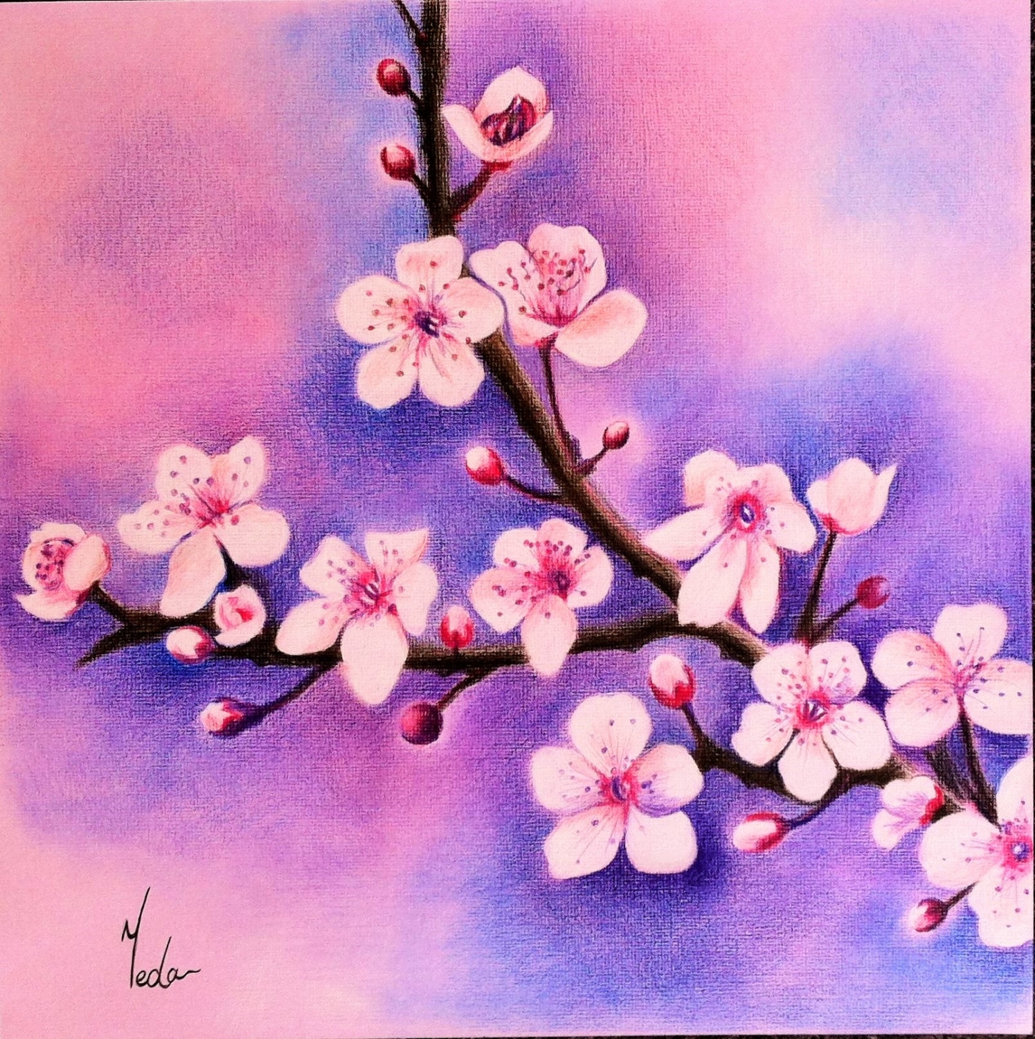 Drawings Of Flowers With Color At PaintingValley Explore 
