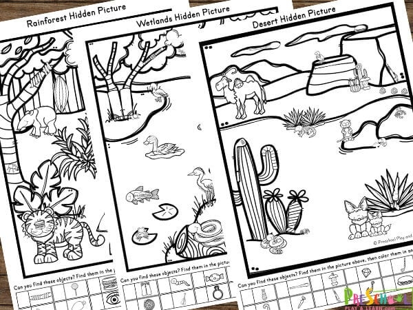 Easy Hidden Pictures Printables