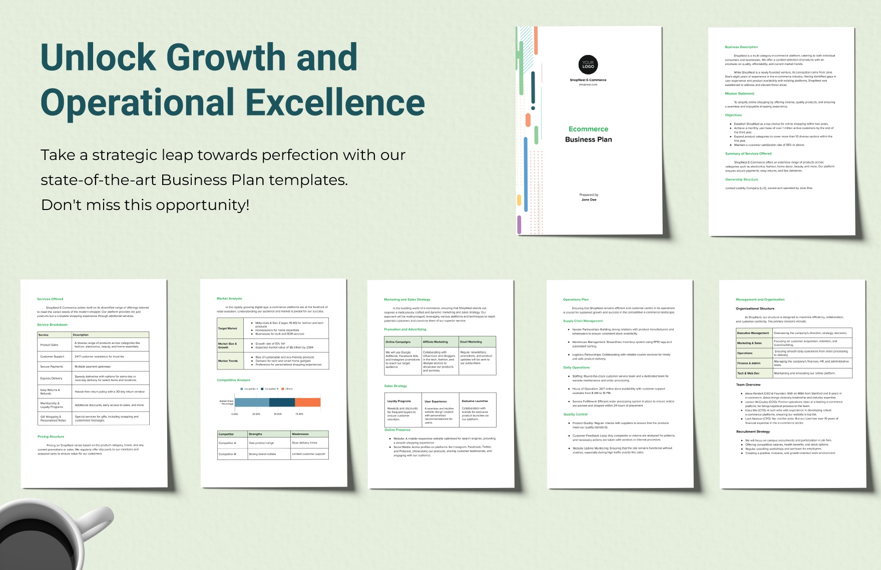Ecommerce Business Plan Template In Word PDF Google Docs Download 