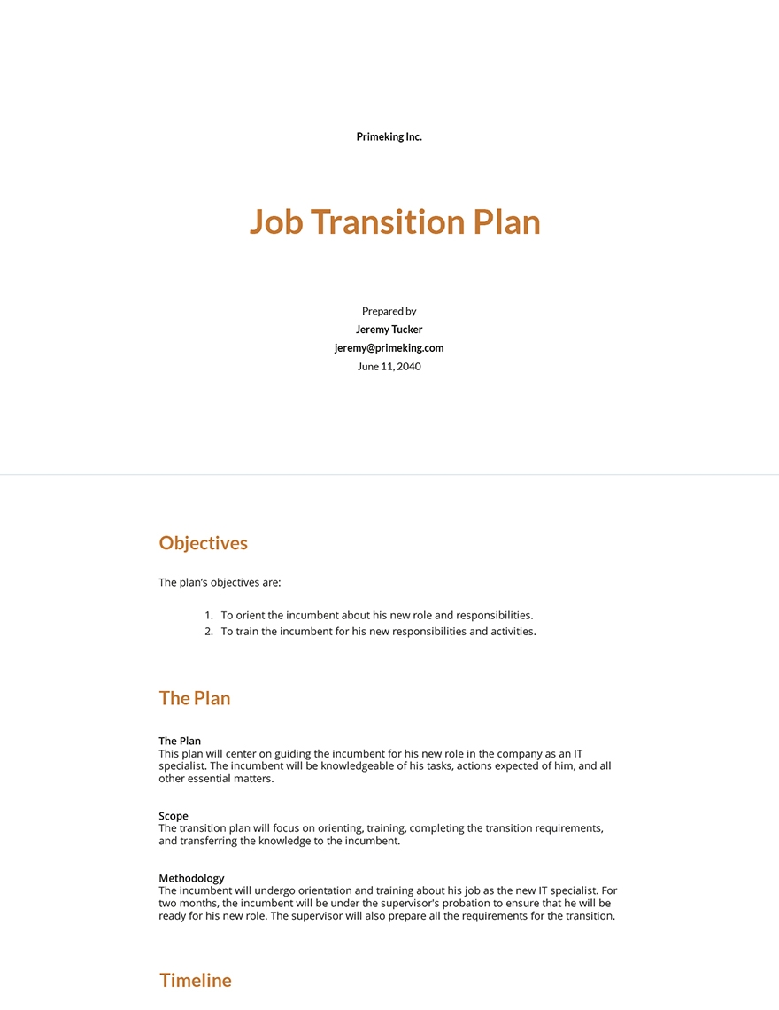 Editable Transition Plan Template Google Docs Word Apple Pages 