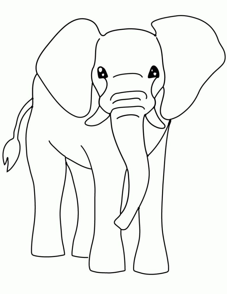 elephant pictures to color printable