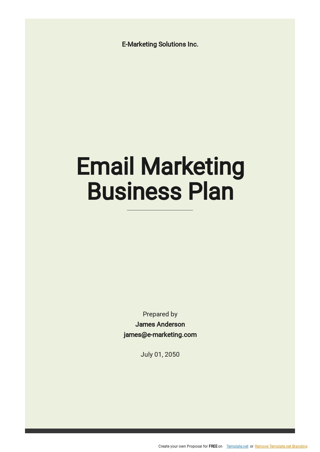 Email Marketing Business Plan Template Google Docs Word Apple Pages 